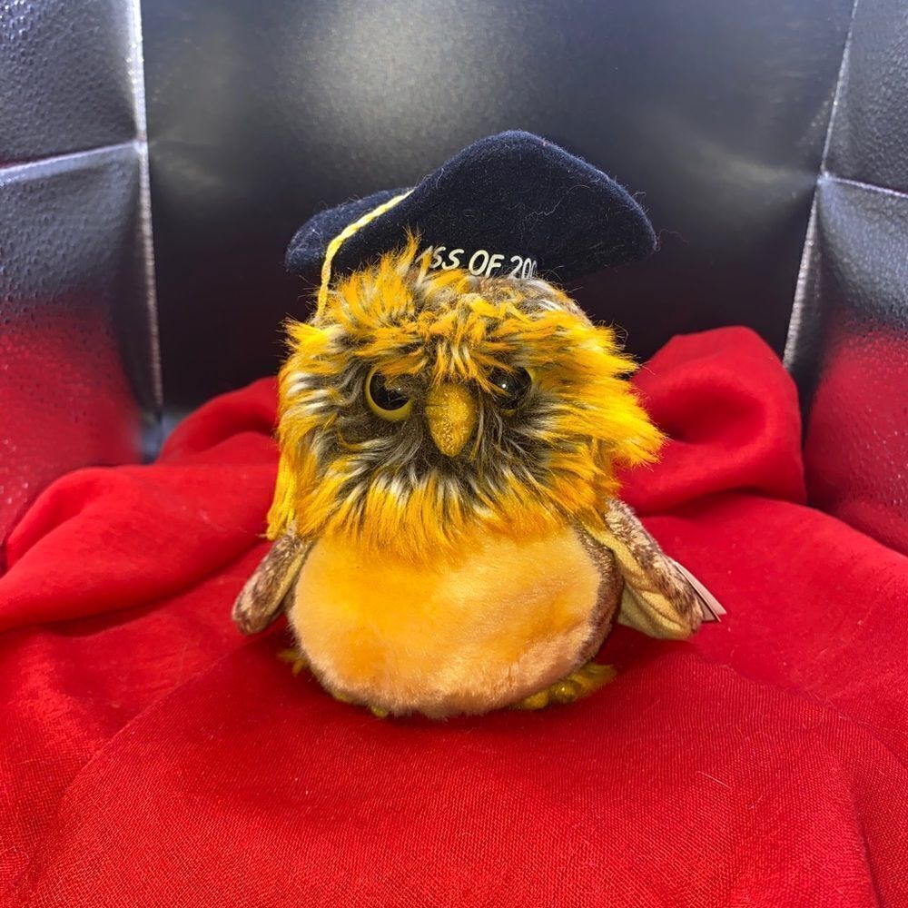 Ty BB Smartest the owl, class of 2003
